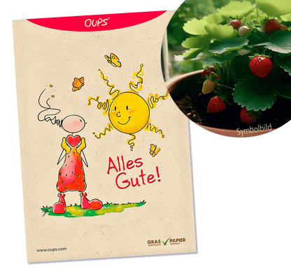 Oups Samenpackung - BIO Monatserdbeeren ‚Rügen‘ - Alles Gute! - Oups