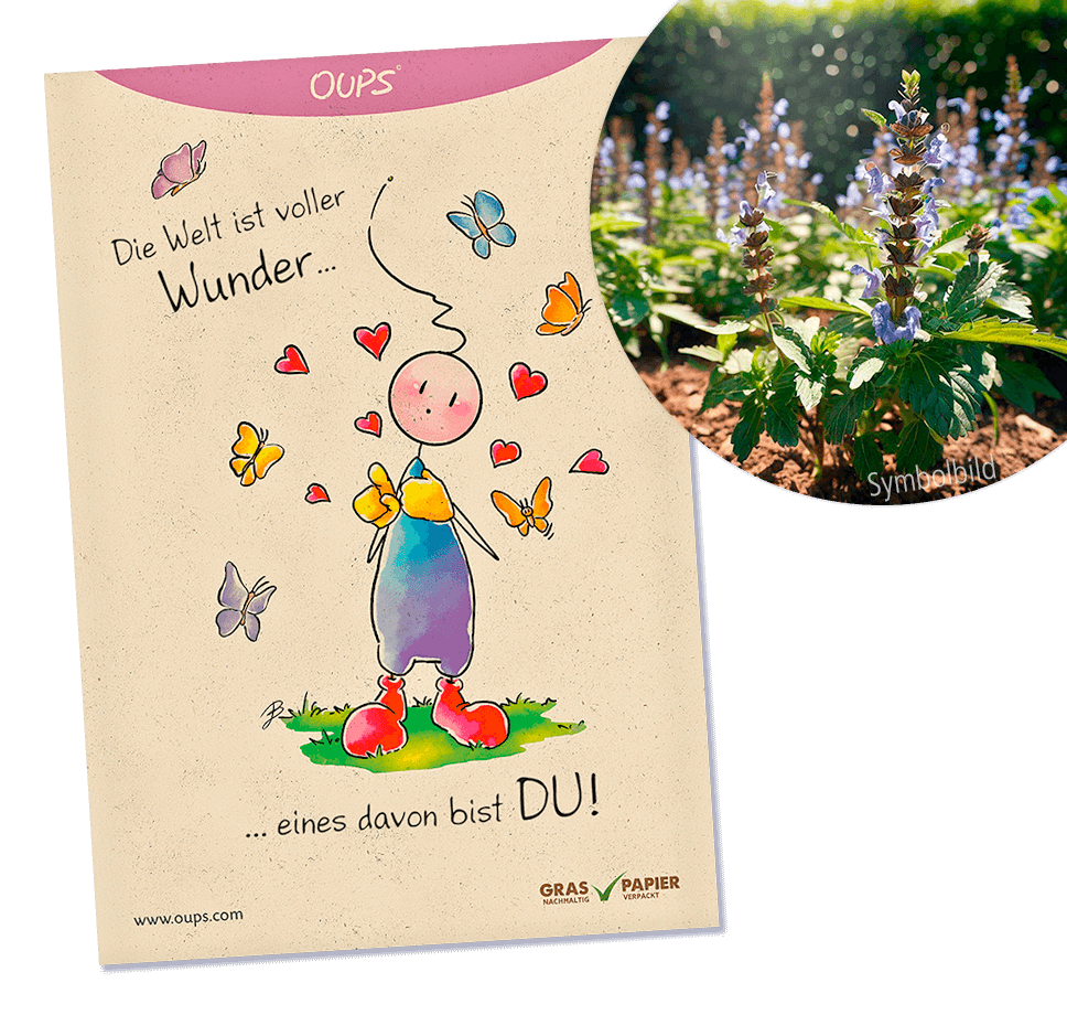 Oups Samenpackung - BIO Ysop - Die Welt ist voller Wunder… eines davon bist DU! - Oups